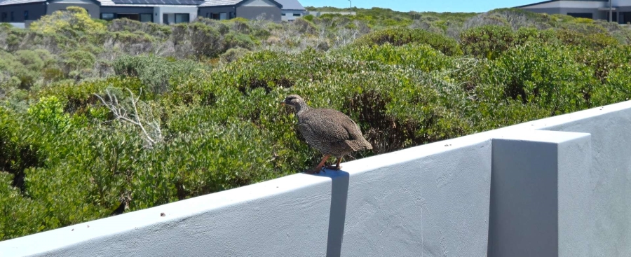 5 Bedroom Property for Sale in Kleinbaai Western Cape